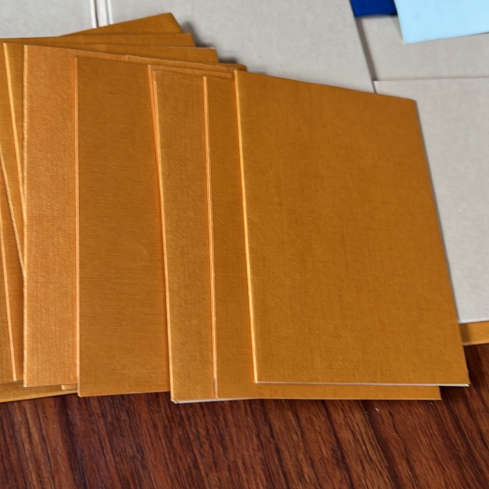 Louis Vuitton Empty Envelope - image 2